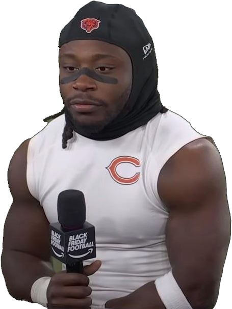 BearsWire Footer